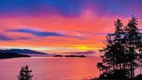 Oceanfront Garden Suite - Stunning Views & Wildlife